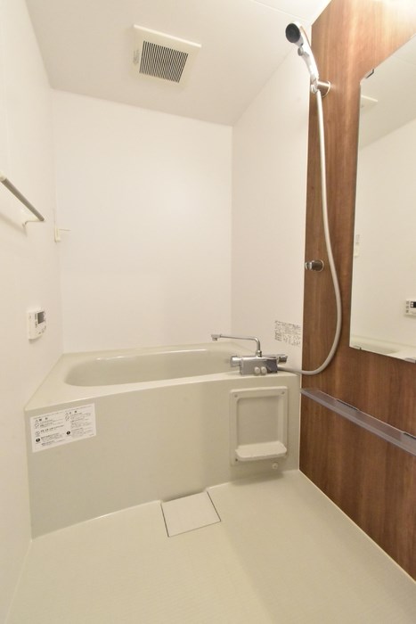 アルタイル その他3