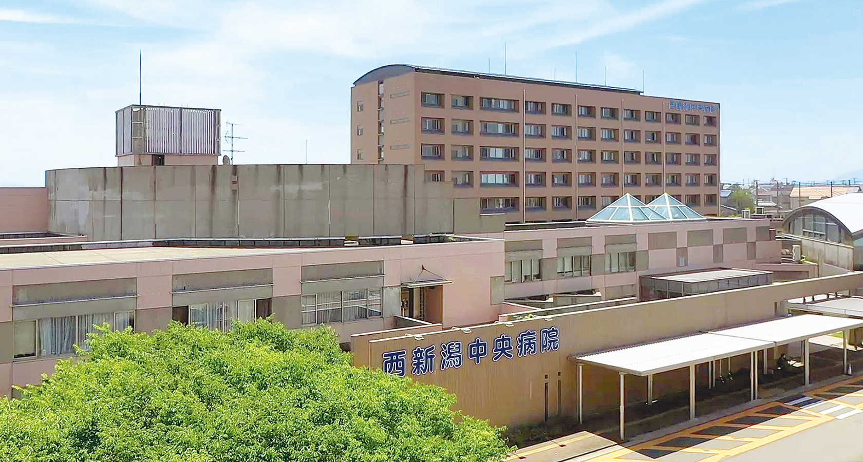 ドミールT 周辺画像8