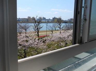 ダイアパレス川端町 その他6