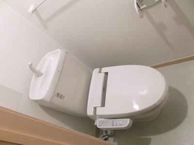 星六もみじ その他5