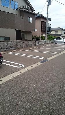 星六さくら その他7
