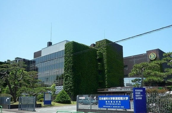 信濃町コスモス その他外観5