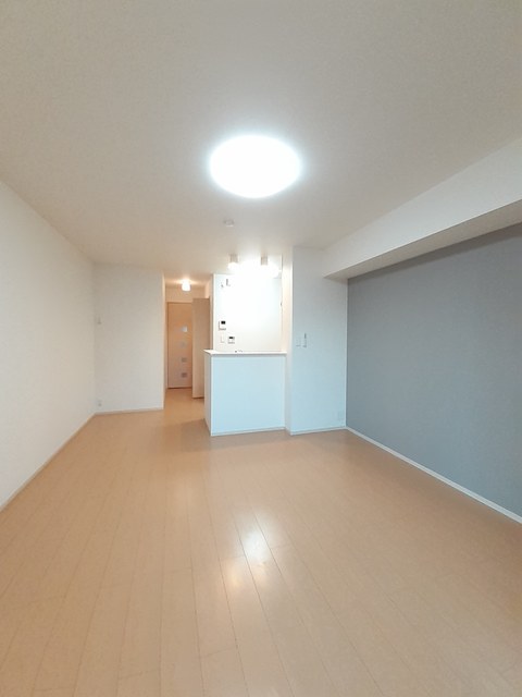 イハナＢ その他2