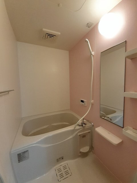 イハナＢ 風呂画像
