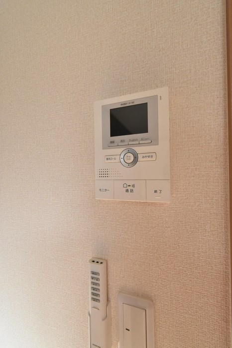 サフラン　B その他7