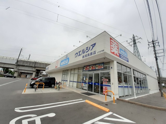 ｗｉｓｔｅｒｉａ その他外観3