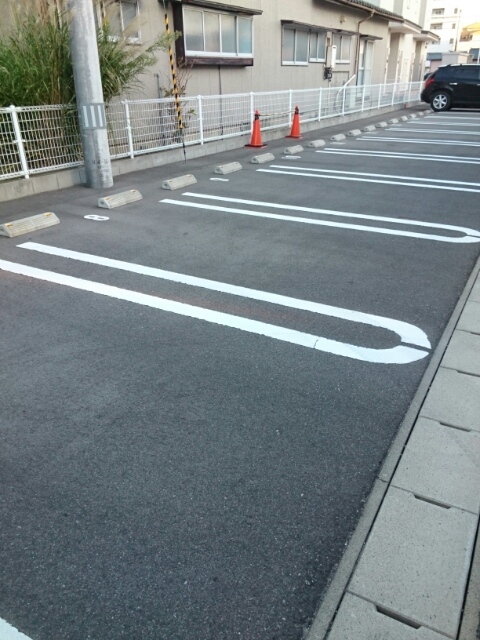 カサフェリスＣ その他4