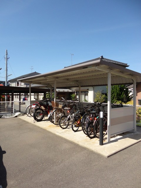 星六もみじ その他