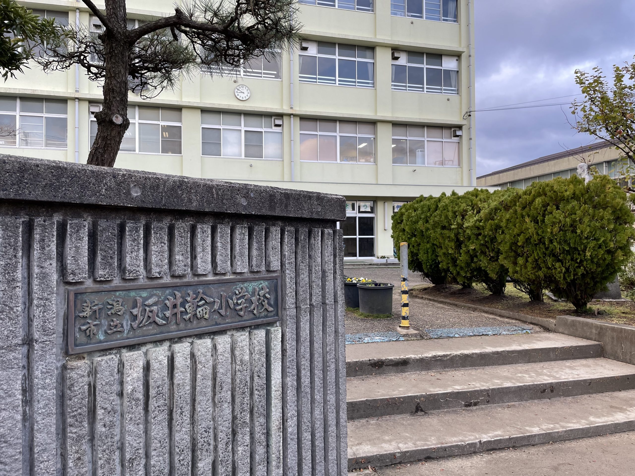 アジュール 小学校