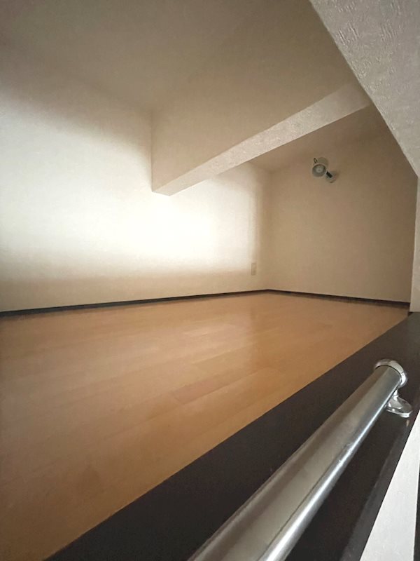 信開セルーラ開発Ⅰ その他