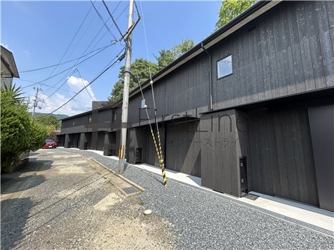 NEKOTO山科安朱 その他
