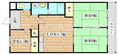 ハイツ81 301号室 間取り