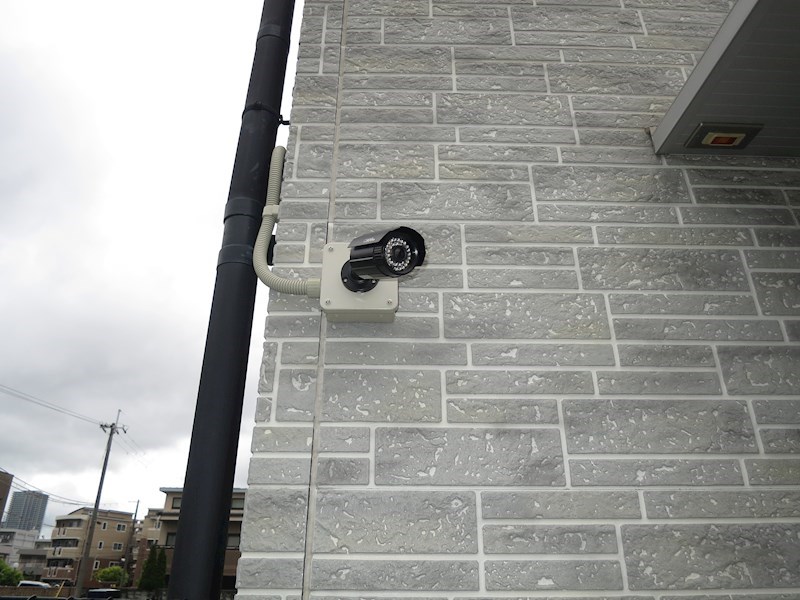 アンプルールフェールハンナハンナ その他2