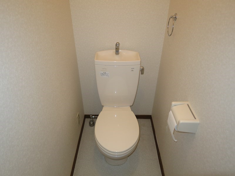 アンプルールフェールハンナハンナ その他7