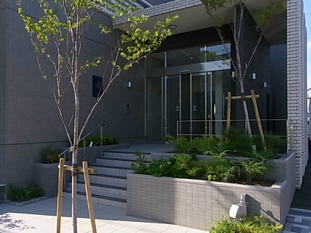 槻（ケヤキ） その他1