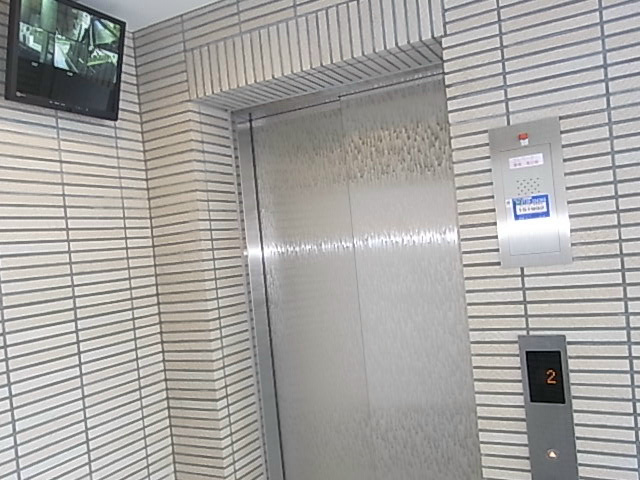 槻（ケヤキ） その他2