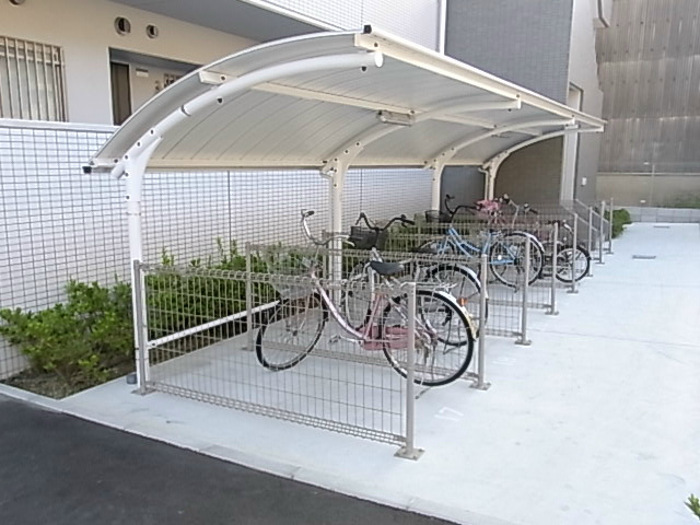 槻（ケヤキ） その他3