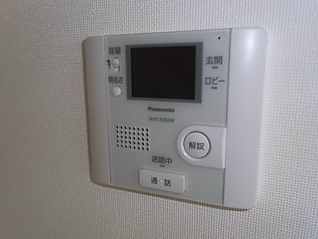 槻（ケヤキ） その他5