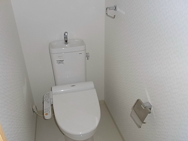 槻（ケヤキ） その他6