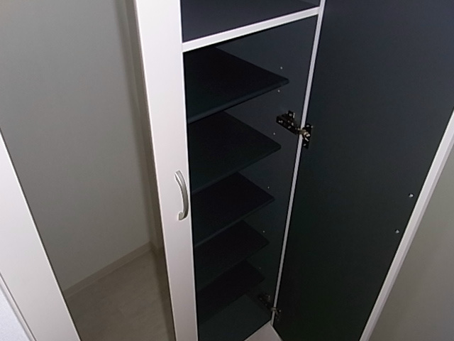 槻（ケヤキ） その他10