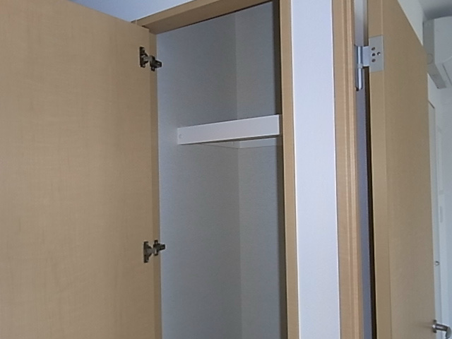 槻（ケヤキ） その他14