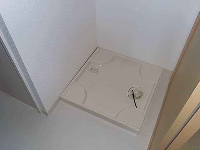 槻（ケヤキ） その他15