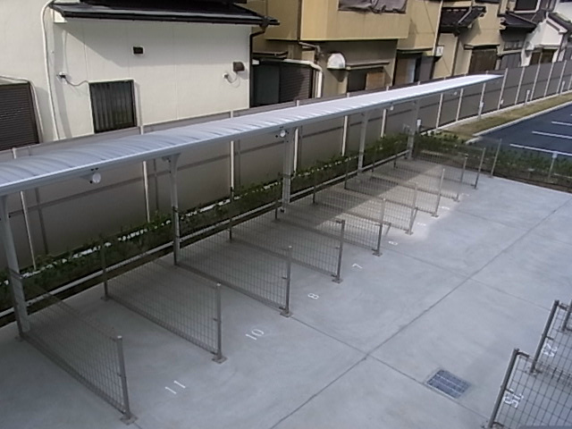 槻（ケヤキ） その他17