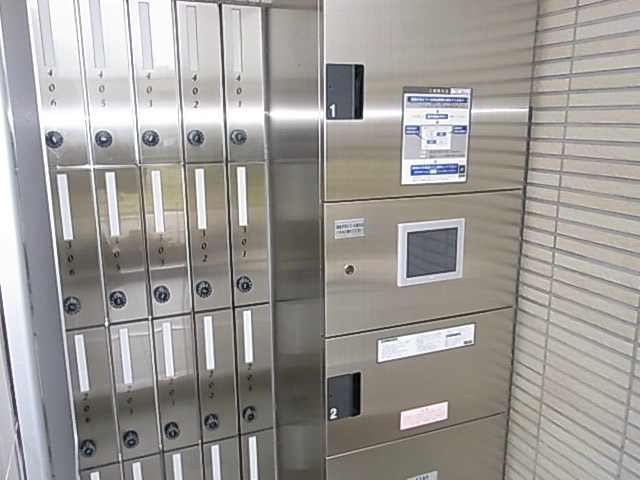 槻（ケヤキ） その他18