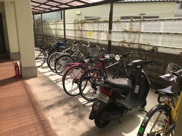 エヴァーグリーン・タナカ  その他3