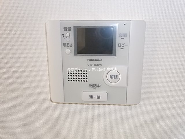 槻（ケヤキ） その他7