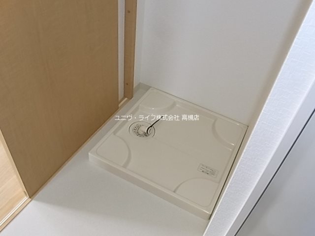 槻（ケヤキ） その他8