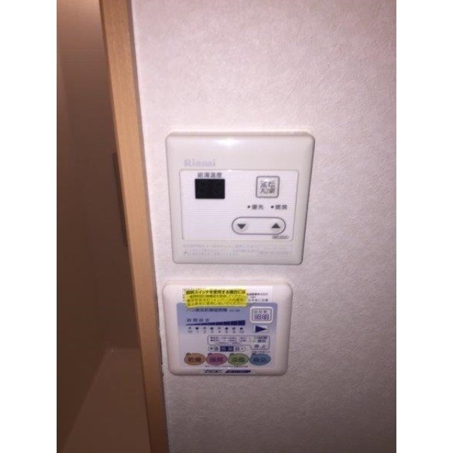 ニューアムールクラニア その他2