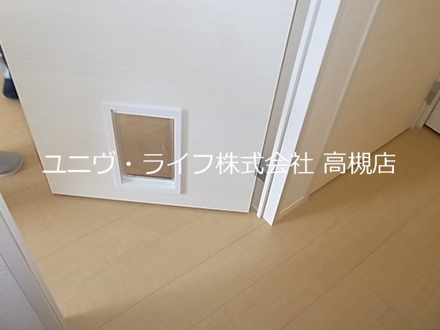Palissade azelea（パリセイドアゼリア） その他11