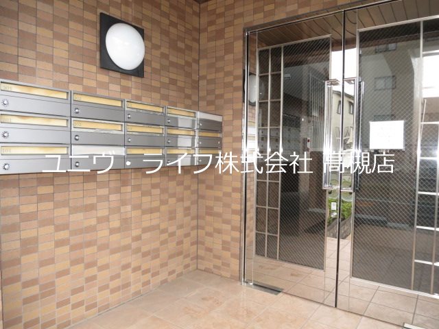 アムールカセイ その他2