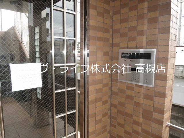 アムールカセイ その他3