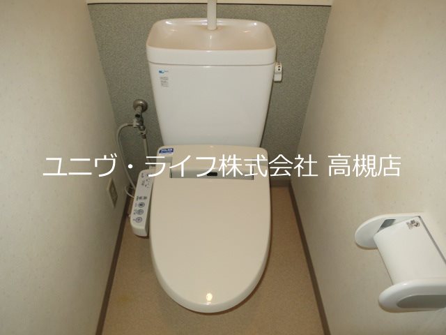 アムールカセイ その他5