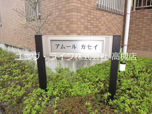 アムールカセイ その他9