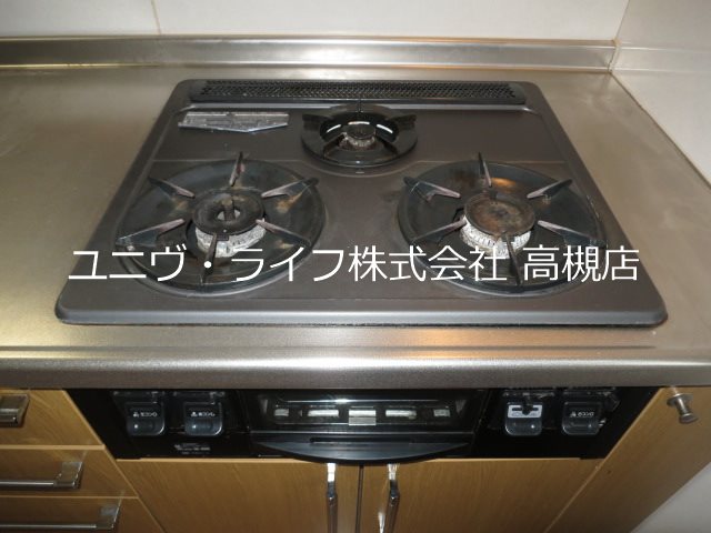 アムールカセイ その他13