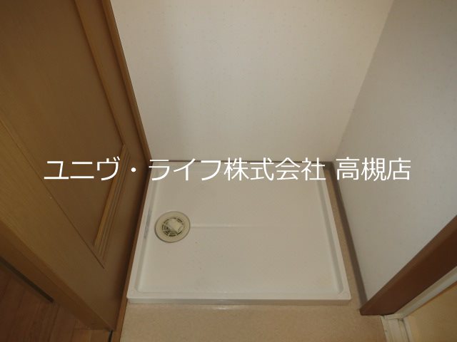 アムールカセイ その他16