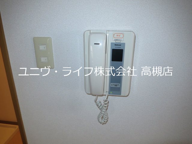 アムールカセイ その他17