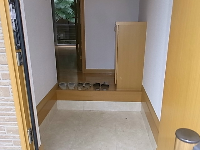 ライズハイツ 玄関