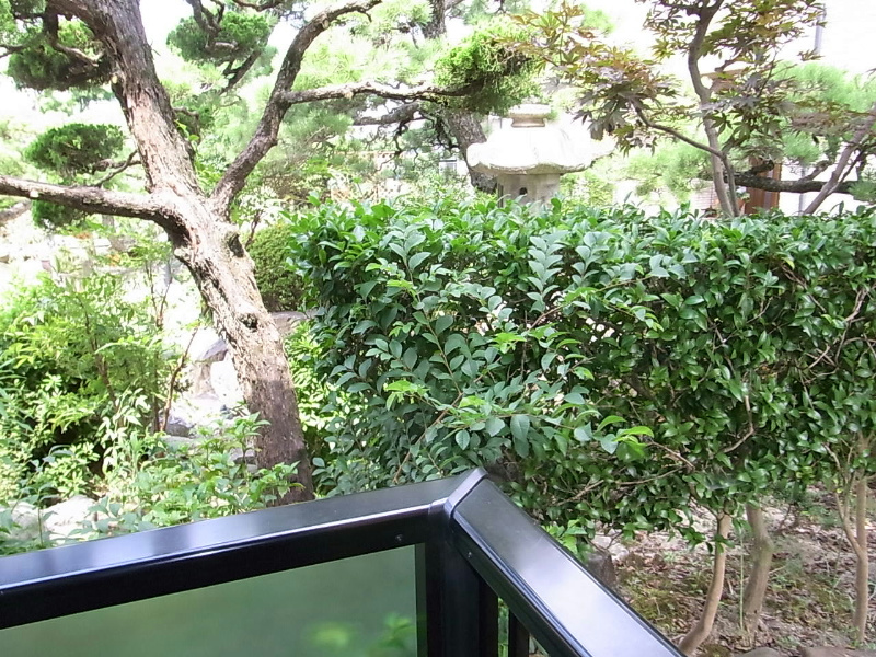 ウィンディアはむろ その他2