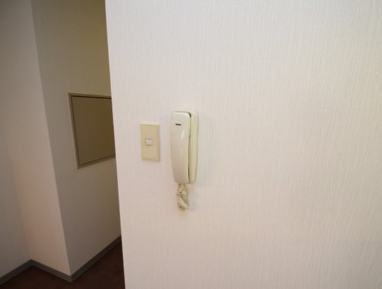ダンディーアミ その他6