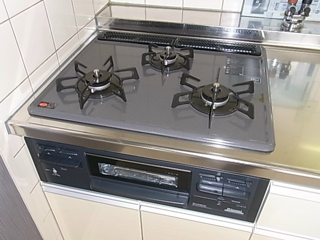 レントリッヒ その他3