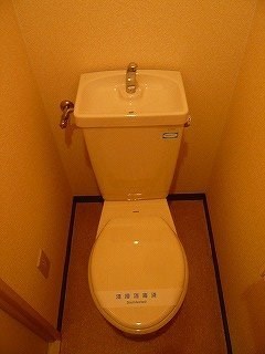 エヴァーグリーン・タナカ その他2