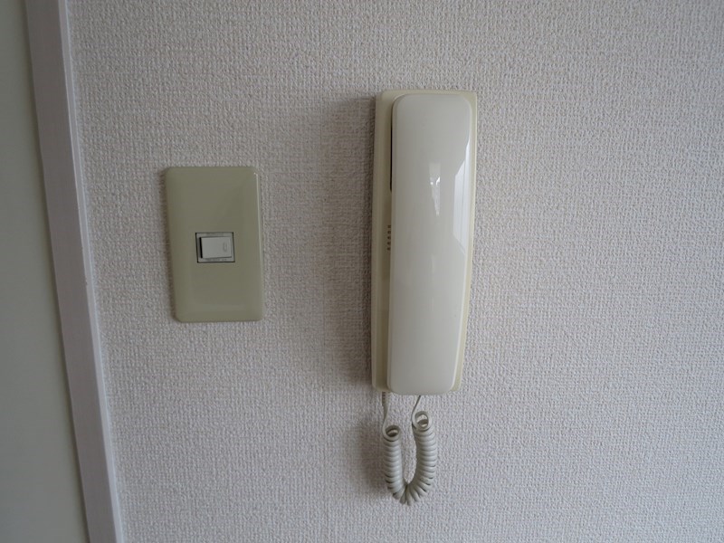 エヴァーグリーン・タナカ その他3