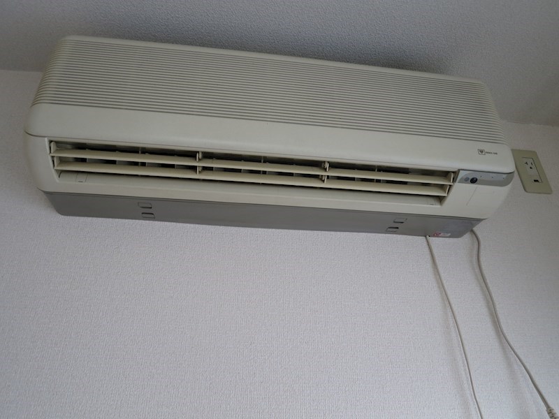 エヴァーグリーン・タナカ その他9