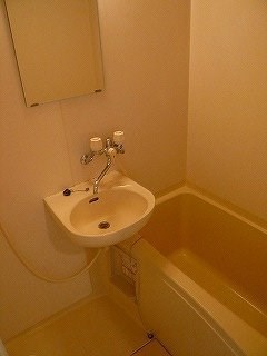 エヴァーグリーン・タナカ 風呂画像