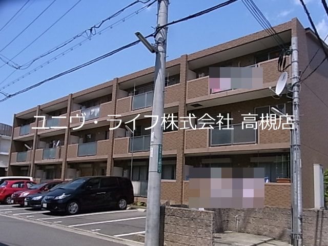 アムールカセイ 外観