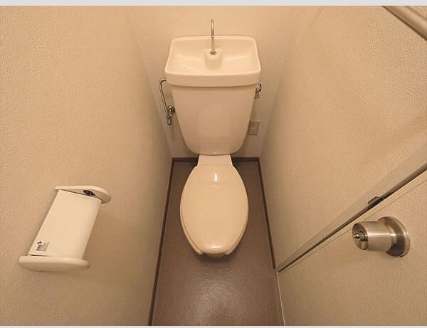 プラムコート その他2